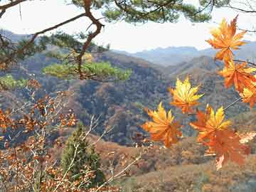 生物医药国际化发展是当前全球医药产业的重要趋势，对于提升国家医药产业的整体实力和国际竞争力具有重要意义。以下是关于生物医药国际化发展的几个关键方面