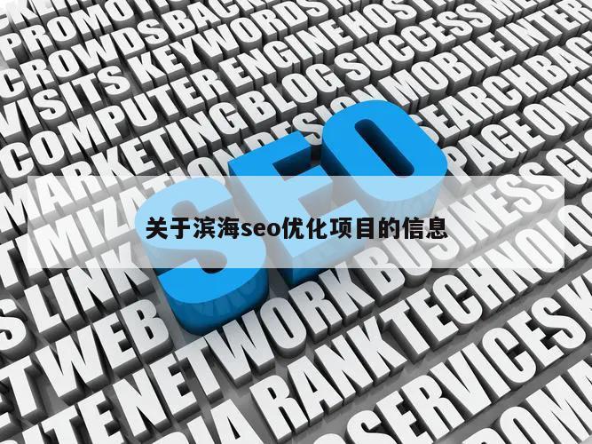 关于滨海seo优化项目的信息