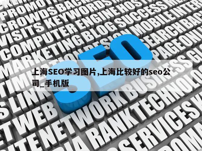 上海SEO学习图片,上海比较好的seo公司_手机版